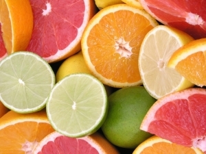 gnn citrus_fruits