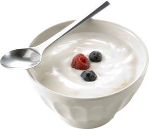 gnn yogurt