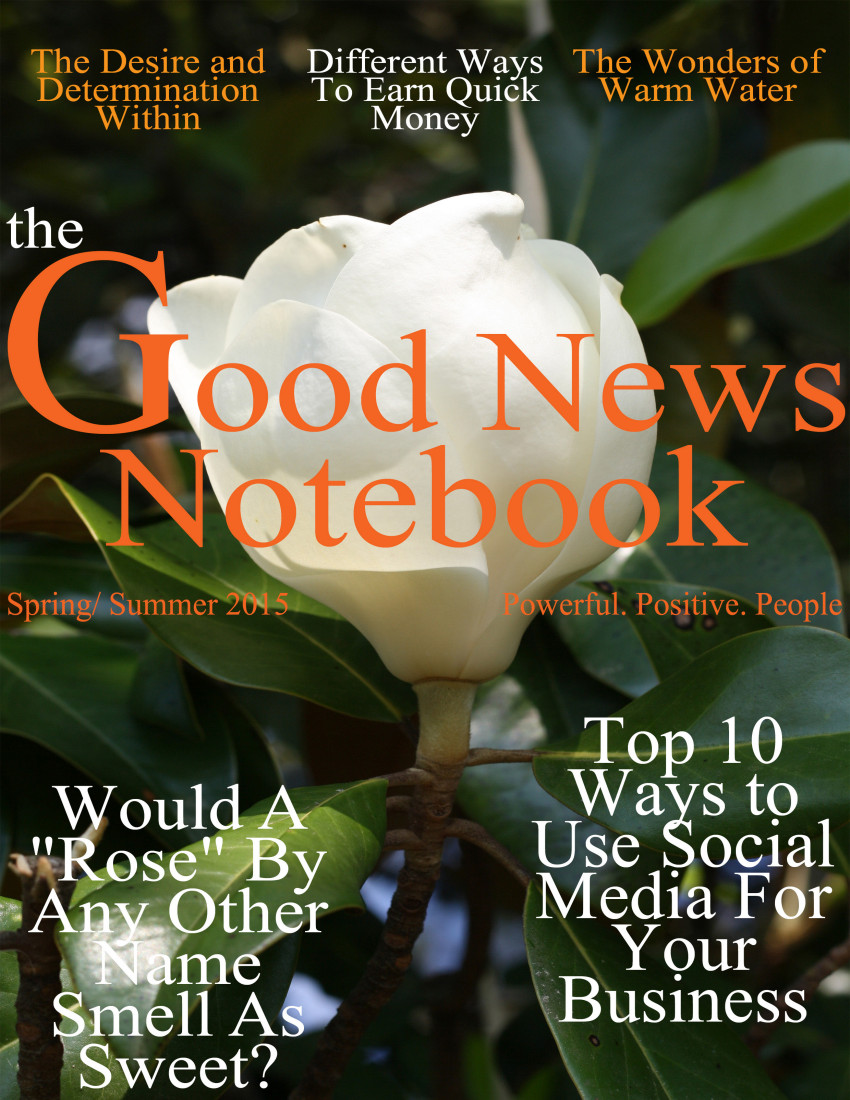 GNN PDF Cover